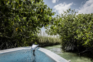 Muyil Float Mexico sol Tours 35