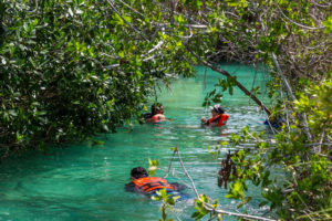 muyil siankaan float Mexico sol tours 28 1568x1045 1