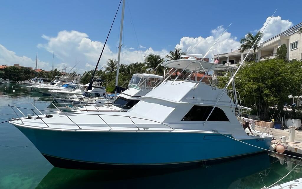 ft bertram hukilau mexico sol tours fishing galley