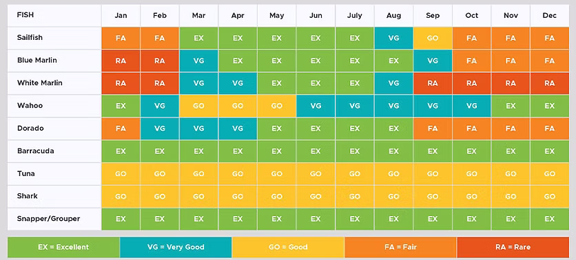 fishing calendar riviera maya
