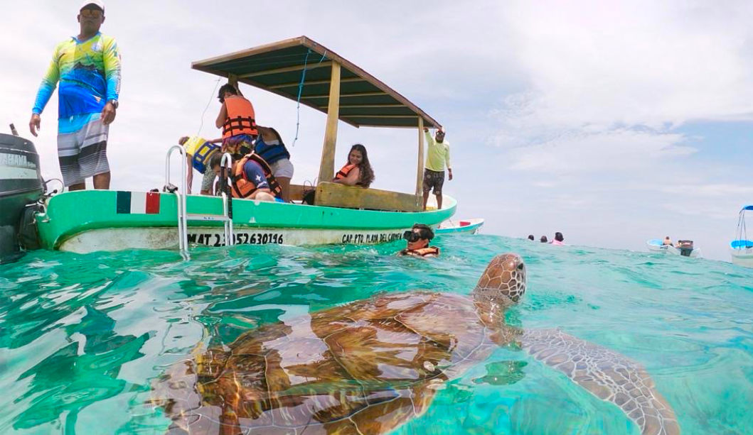tulum turtles tankah slider