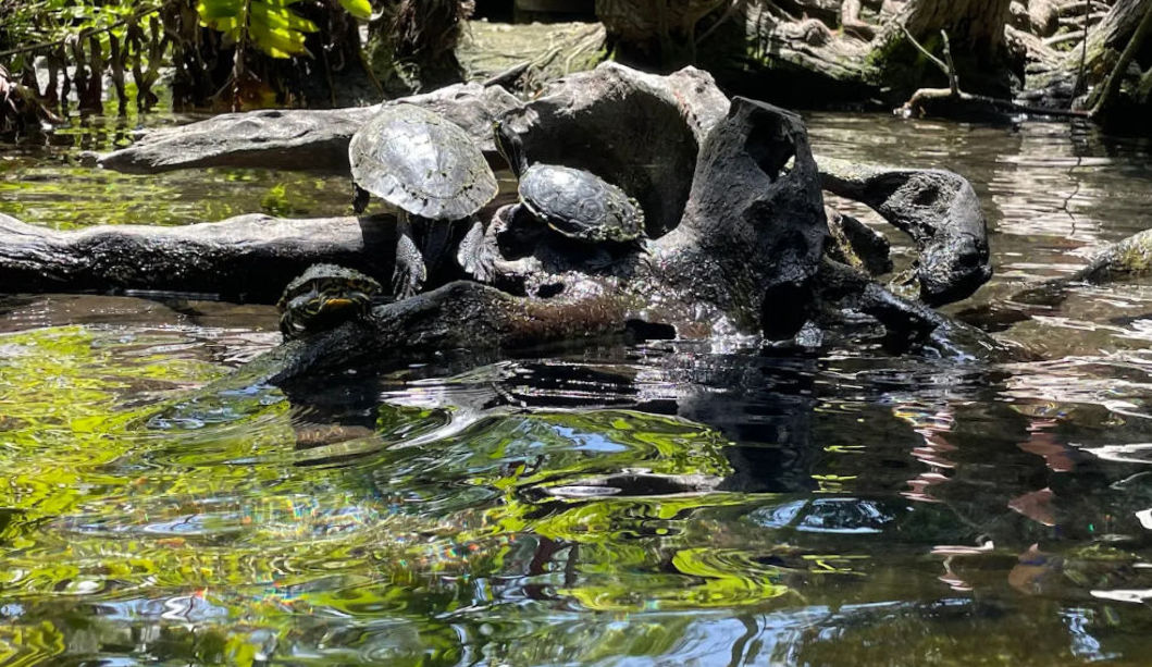cenote adventure lovers slider