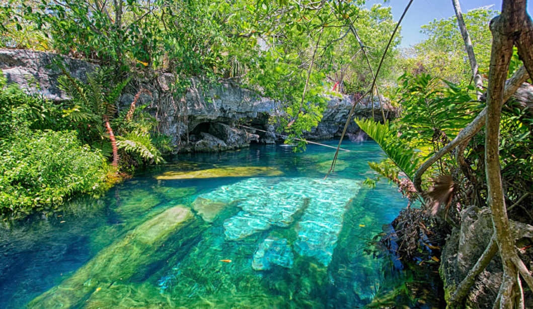 cenote mayan explorers