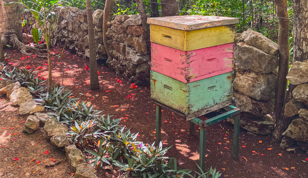 chichen honey slider