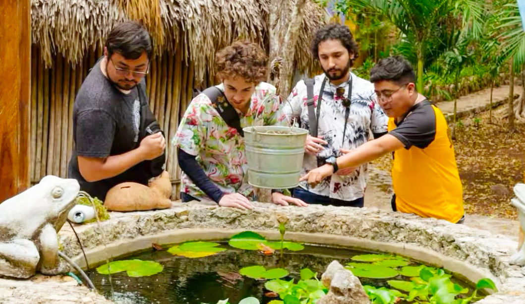 chichen honey slider