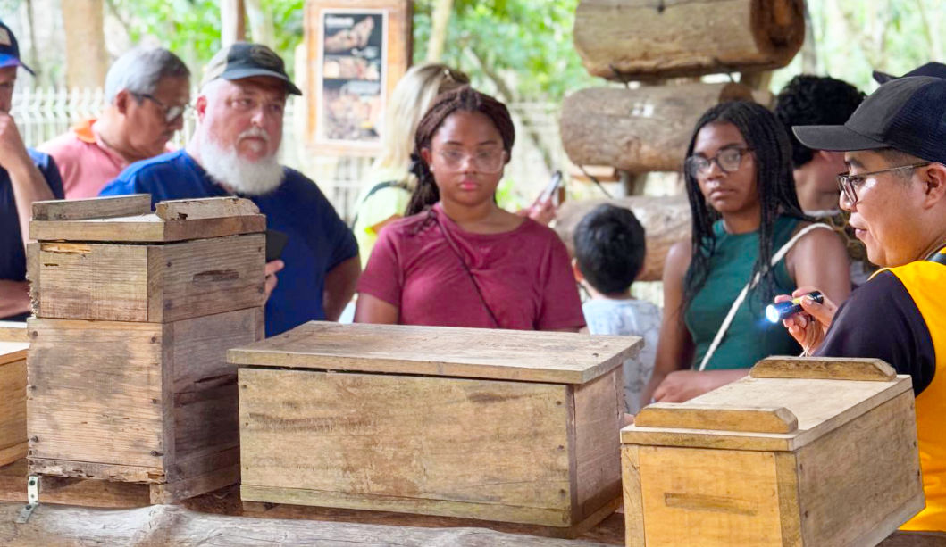 chichen honey slider