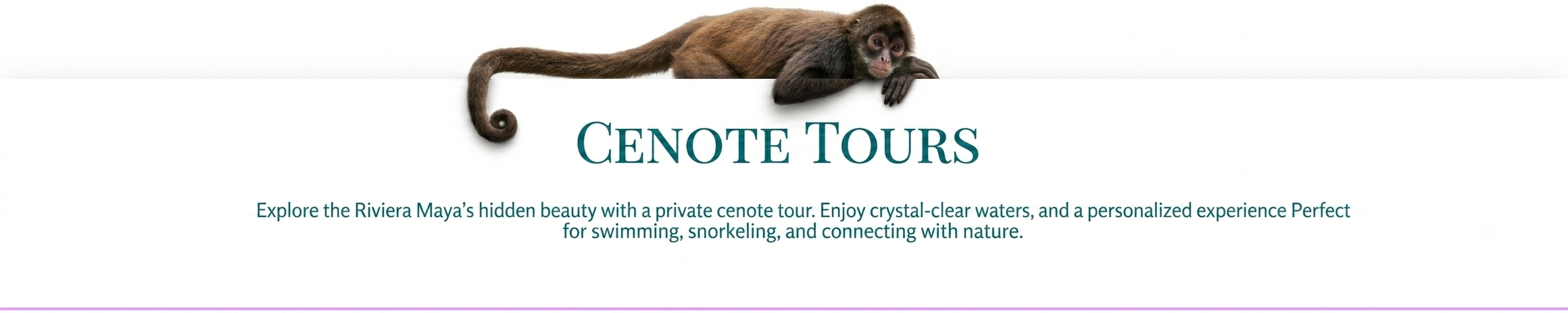 Mexico sol tours